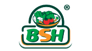 Blatt Salat Haus