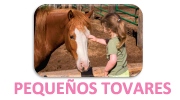 PEQUEÃ‘OS TOVARES